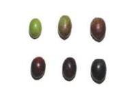 drupe verdello