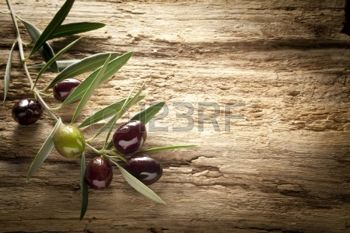 olive buscionetto